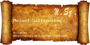 Meisel Szilveszter névjegykártya