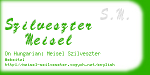 szilveszter meisel business card